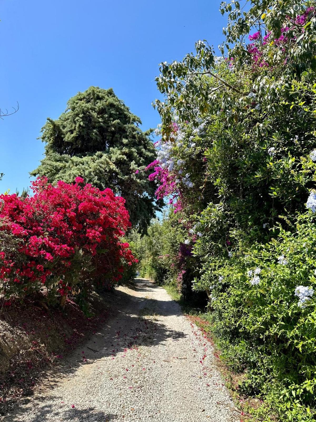 Villa Tiche Cefalu Luaran gambar