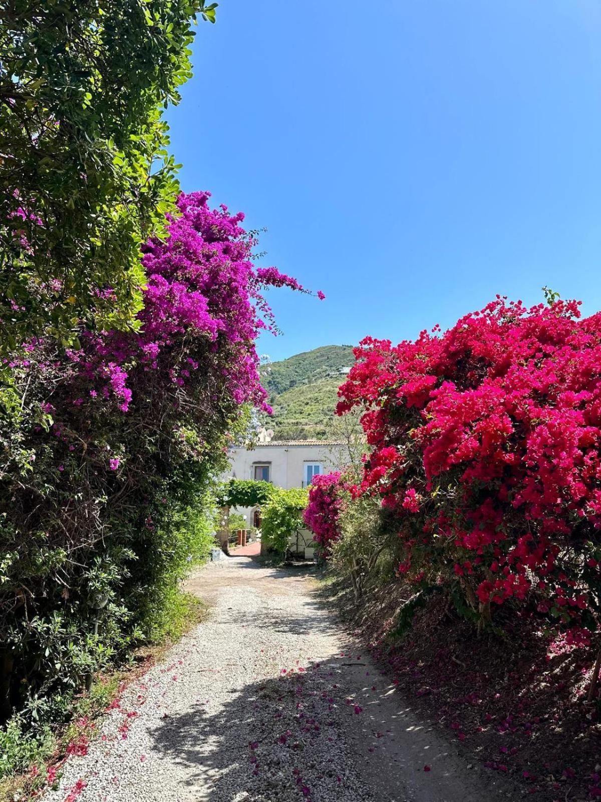 Villa Tiche Cefalu Luaran gambar